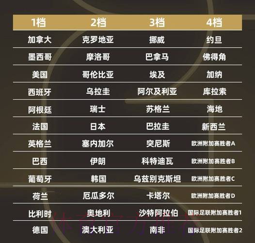 世界杯排名哪里可以看